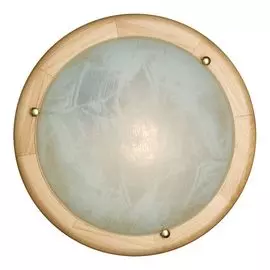 Настенно-потолочный светильник Sonex Alabastro 172