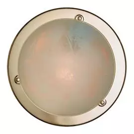 Настенно-потолочный светильник Sonex Alabastro 221