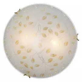 Настенно-потолочный светильник Sonex Etra 123/K