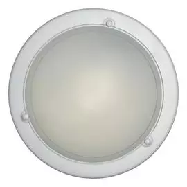 Настенно-потолочный светильник Sonex Riga 111