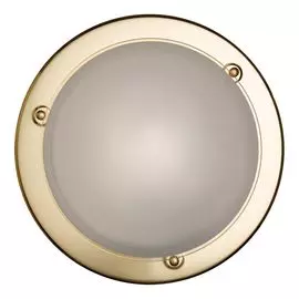 Настенно-потолочный светильник Sonex Riga 115