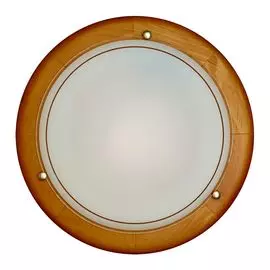 Настенно-потолочный светильник Sonex Riga 126