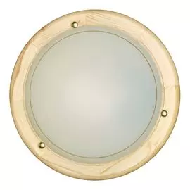 Настенно-потолочный светильник Sonex Riga 173