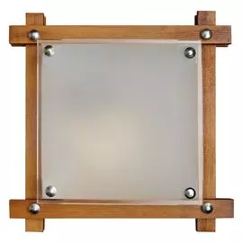 Настенно-потолочный светильник Sonex Trial 1241