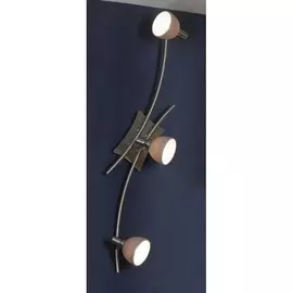 Настенно-потолочный светильник Spilimbergo LSA-3071-03 Lussole