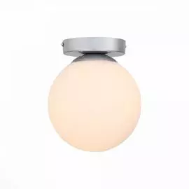 Настенно-потолочный светильник ST Luce Acini SL717.501.01