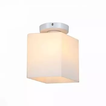 Настенно-потолочный светильник ST Luce Aspetto SL548.501.01