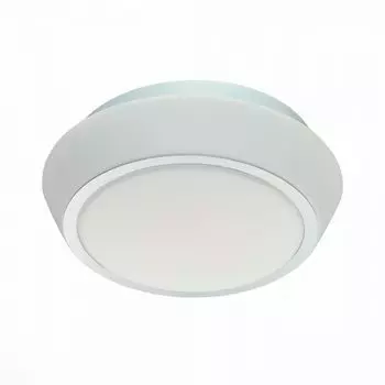 Настенно-потолочный светильник ST Luce Bagno SL496.502.02