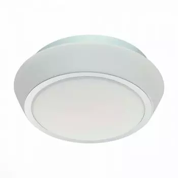 Настенно-потолочный светильник ST Luce Bagno SL496.502.03