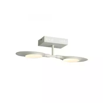Настенно-потолочный светильник ST Luce Farfalo SL824.501.02