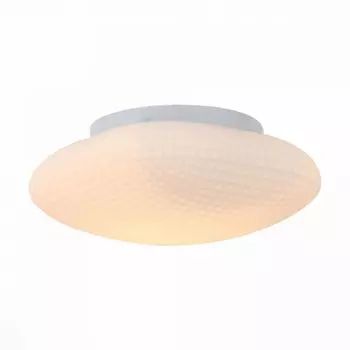 Настенно-потолочный светильник ST Luce Pone SL504.552.01
