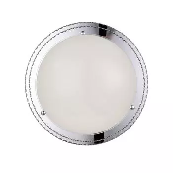 Настенно-потолочный светильник ST Luce Universale SL494.552.01
