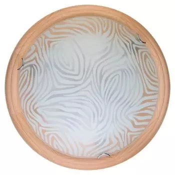 Настенно-потолочный светильник Toplight Agatha TL9260Y-00PN