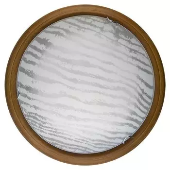 Настенно-потолочный светильник Toplight Calista TL9490Y-00OA