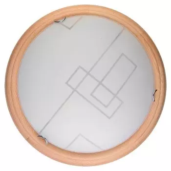 Настенно-потолочный светильник Toplight Debora TL9540Y-00PN