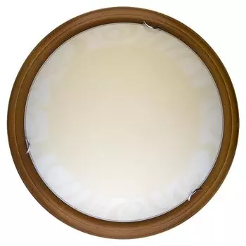 Настенно-потолочный светильник Toplight Ginger TL9620Y-00OA