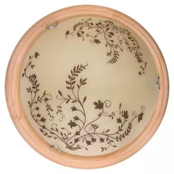 Настенно-потолочный светильник Toplight Irene TL9630Y-00PN