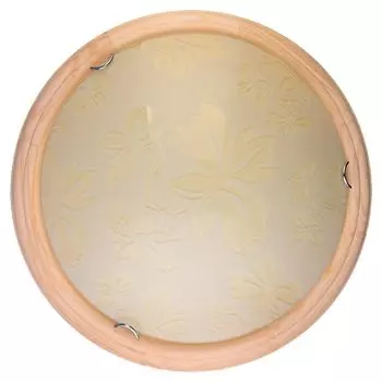 Настенно-потолочный светильник Toplight Jane TL9640Y-00PN