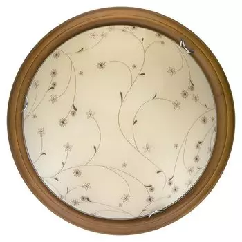 Настенно-потолочный светильник Toplight Karissa TL9650Y-00OA