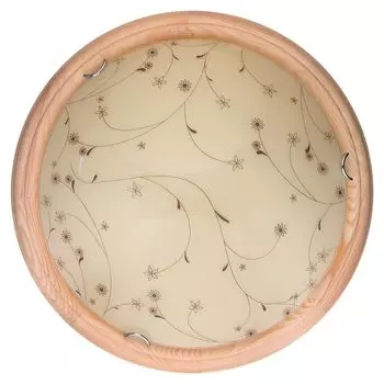 Настенно-потолочный светильник Toplight Karissa TL9650Y-00PN