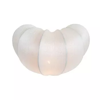 Настенный светильник Cocoon A6180AP-1WH Arte Lamp