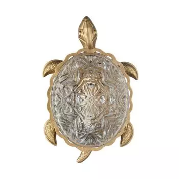 Настенный светильник Favourite Turtle 2254-1W