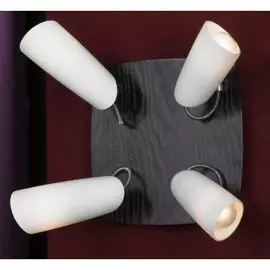 Настенный светильник Sava LSN-4901-04 Lussole