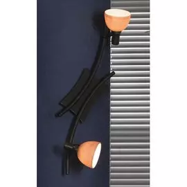 Настенный светильник Spilimbergo LSA-3001-02 Lussole