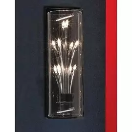 Настенный светильник Vitravo LSQ-4001-05 Lussole