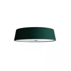 Настольная лампа Deko-Light Head Magnetic Light Miram Green 346037