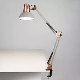 Настольная лампа Eurosvet Worker 01021/1