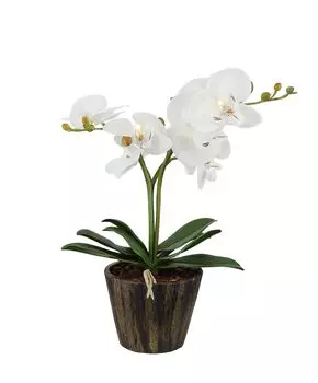 Настольная лампа Globo Flowerpower 28002