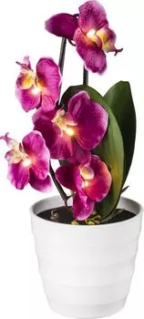 Настольная лампа Globo Orphelia 28022P