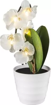 Настольная лампа Globo Orphelia 28022W