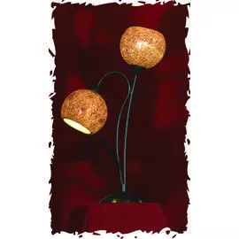 Настольная лампа Lussole Bagheria LSF-6204-02