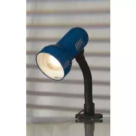 Настольная лампа Lussole Sofia LST-4924-01