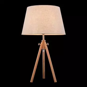 Настольная лампа Maytoni Table &amp; Floor Z177-TL-01-BR