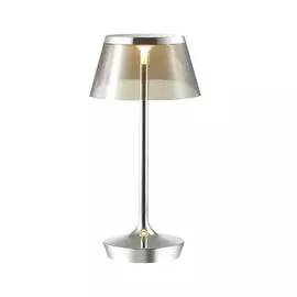Настольная лампа Odeon Light Abel 4109/7TL