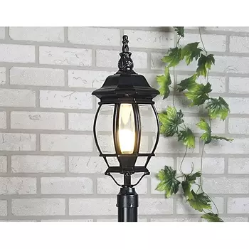 Наземный фонарь Farola 1043 черный 100W Elektrostandard a022921