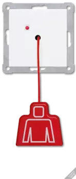 NRSLS0834ZTLG Шнуровой выключитель, сер. Jung