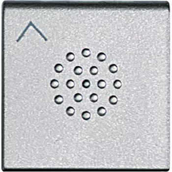 NT4916DPA LivingLight клавиша дв.кнопки с/стр алю Bticino