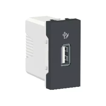 NU342854 Розетка USB, 5 В / 1000 мА, 1 Модуль Антрацит Schneider Electric