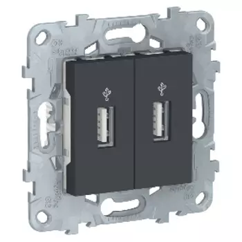 NU542754 USB-коннектор, 2-местный, Антрацит Schneider Electric