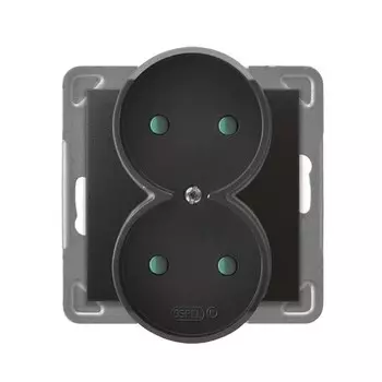 Ospel Impresja Антрацит Розетка 2-я б/з со шторками (для монтажа в многопоставных рамках), без рамки GP-2YRP/m/50