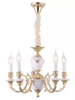 Подвесная люстра Arte Lamp A8020LM-5WG