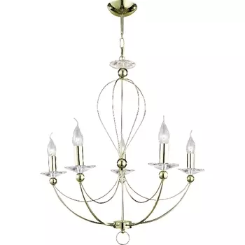 Подвесная люстра Birdcage A4292LM-5PB Arte Lamp