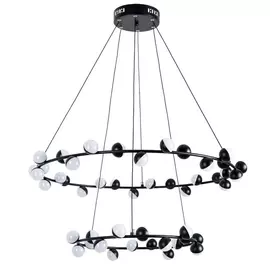 Подвесная люстра Dexter A3619SP-48BK Arte Lamp