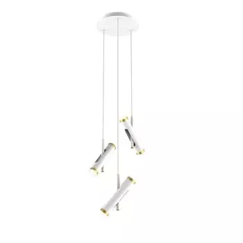 Подвесная люстра Favourite Duplex 2323-6P