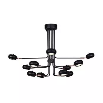 Подвесная люстра Favourite Ellisse 1749-12U