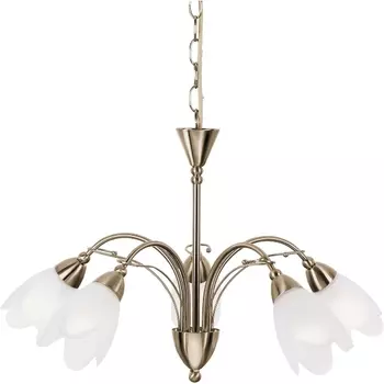 Подвесная люстра Petal A4905LM-5AB Arte Lamp